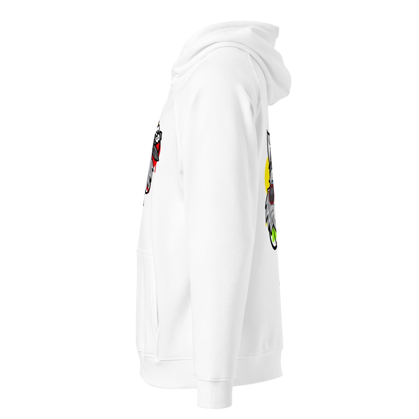 Unisex eco raglan hoodie